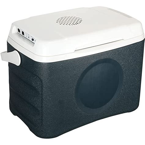 portable electric cooler box|outdoor warehouse cooler box.